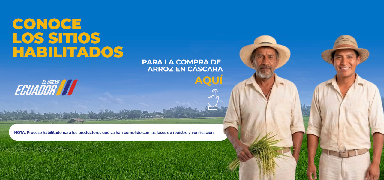 Conoce los sitios habilitados para la compra de arroz en cáscara