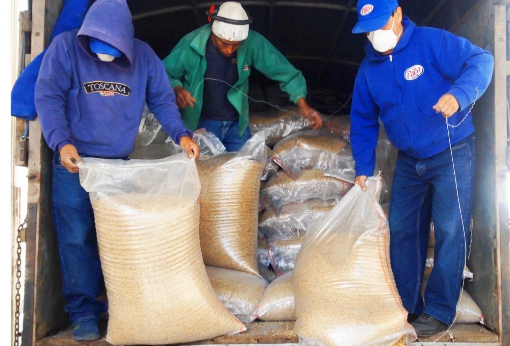 MAG entrega de 200 sacos de cebada metcalfe a la empresa Cervecería ...