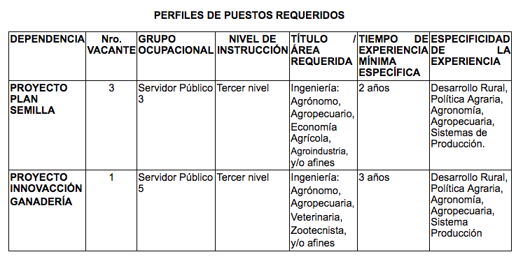 Convocatoria A Proceso De Seleccion De Personal Para La Direccion