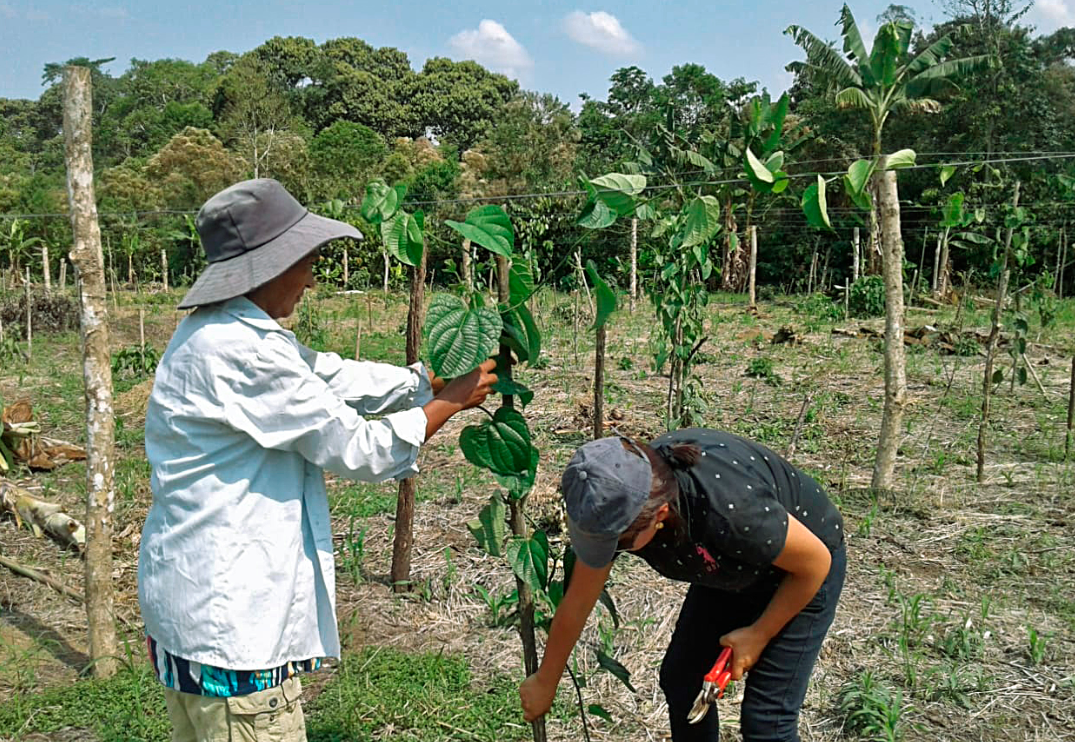 Productores De Napo Fortalecen Su Produccion Ministerio De