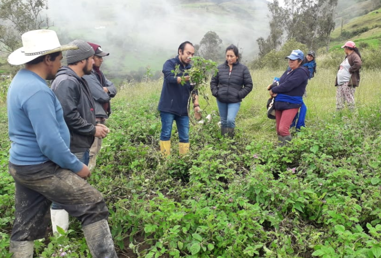 Técnicos del MAG en territorio capacitan para el mejoramiento agropecuario de Azuay.