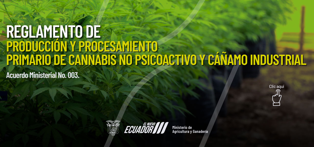 Reglamento de Producción y Procesamiento Primario de Cannabis no Psicoactivo y Cáñamo Industrial