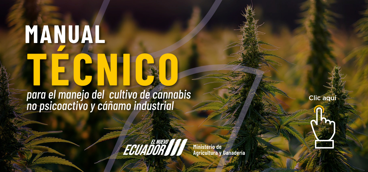 Manual técnico para el manejo del cultivo de cannabis no psicoactivo y cáñamo industrial