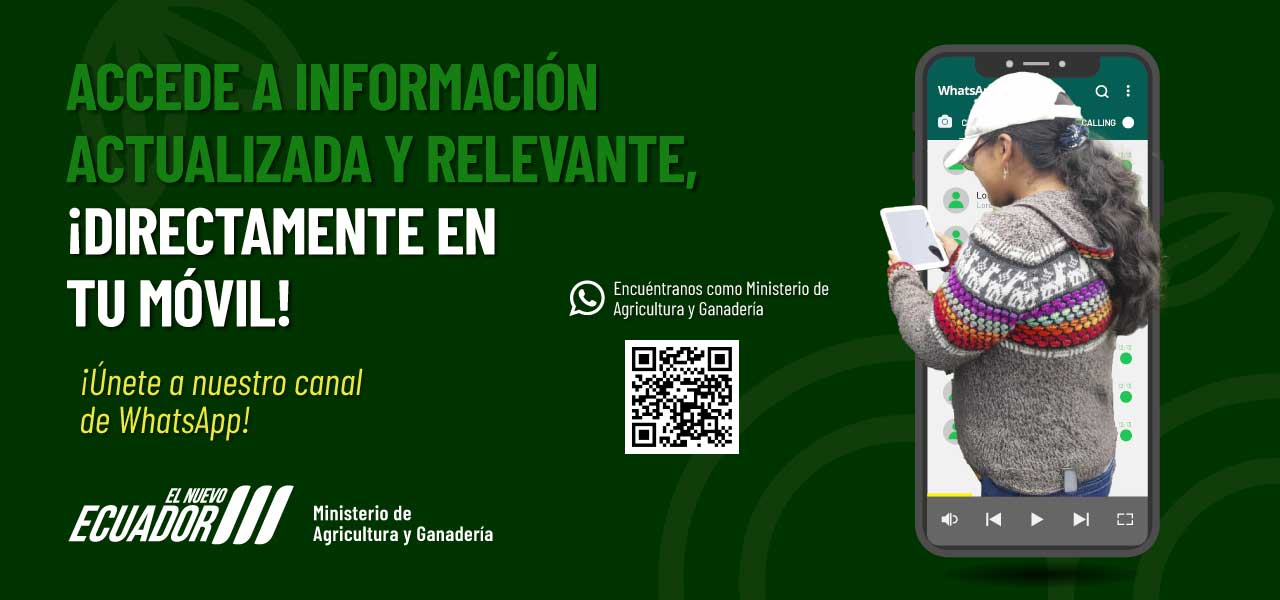 Sigue nuestro canal de WhatsApp