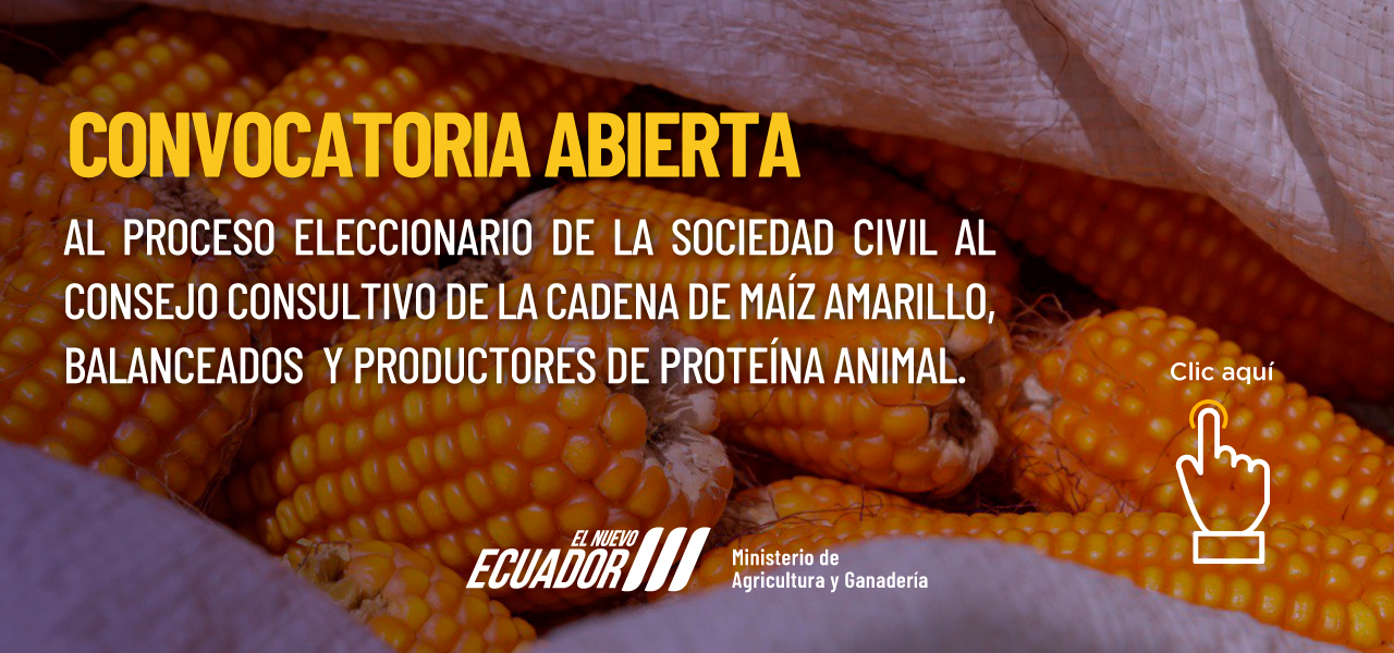 CONVOCATORIA ABIERTA