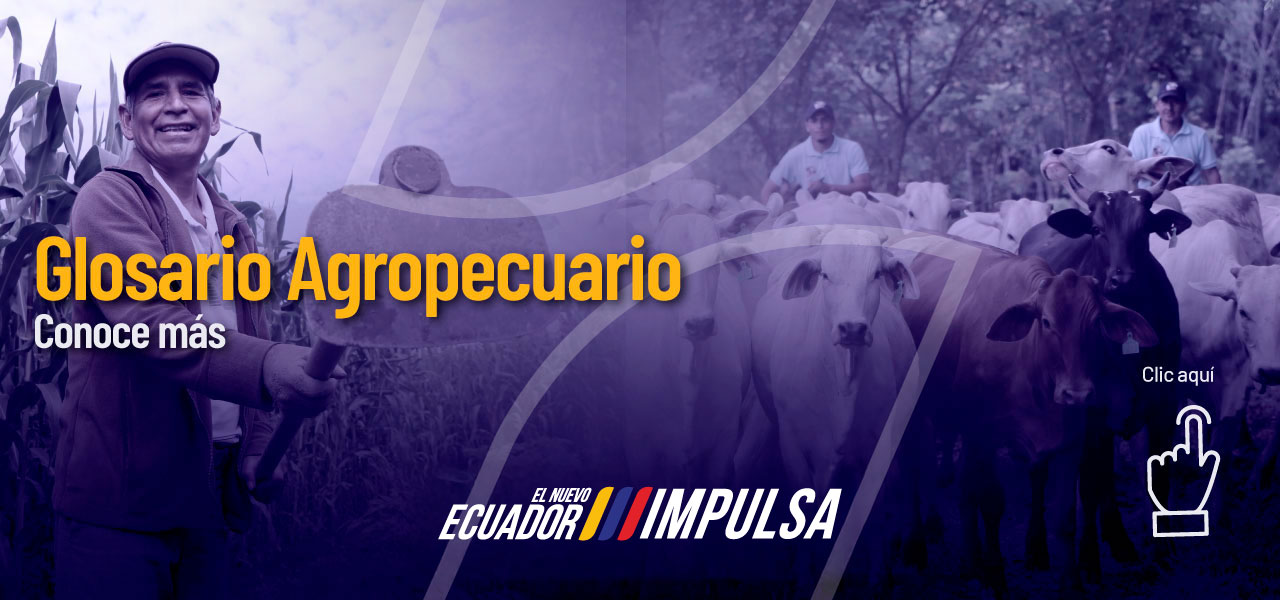 Glosario Agropecuario