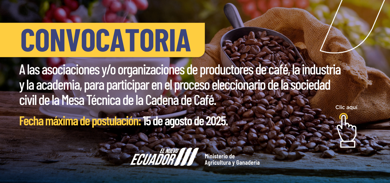 Convocatoria