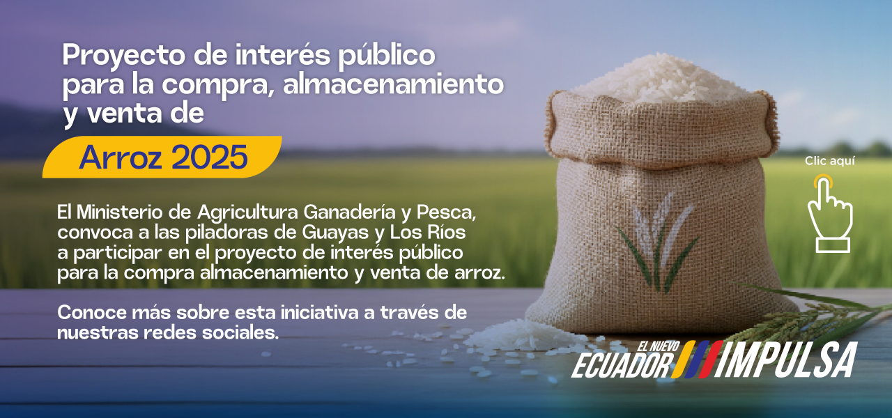 Proyecto de interés público para la compra, almacenamiento y venta de Arroz 2025