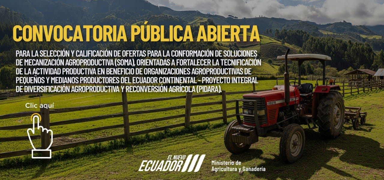 CONVOCATORIA PÚBLICA ABIERTA
