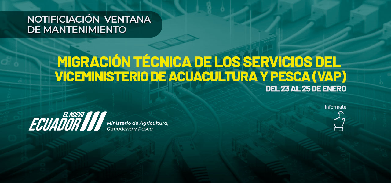 Ventana de mantenimiento Sistemas Informáticos VAP