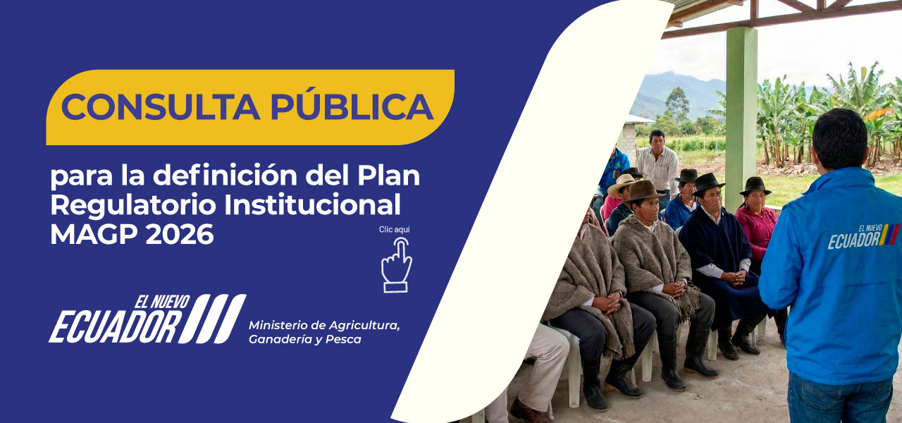 Consulta Pública Plan Regulatorio Institucional MAGP 2026