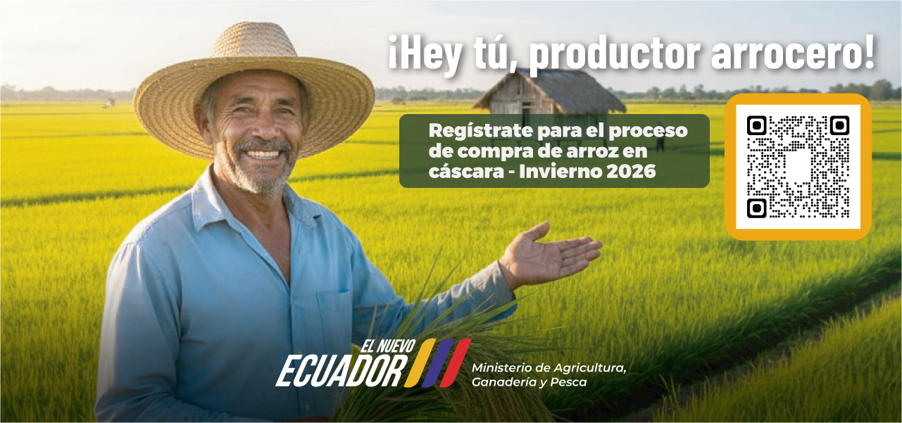 ¡Hey tú, productor arrocero!