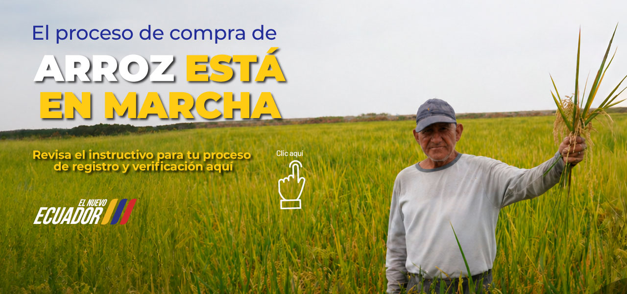 Compra de arroz en cáscara 2026